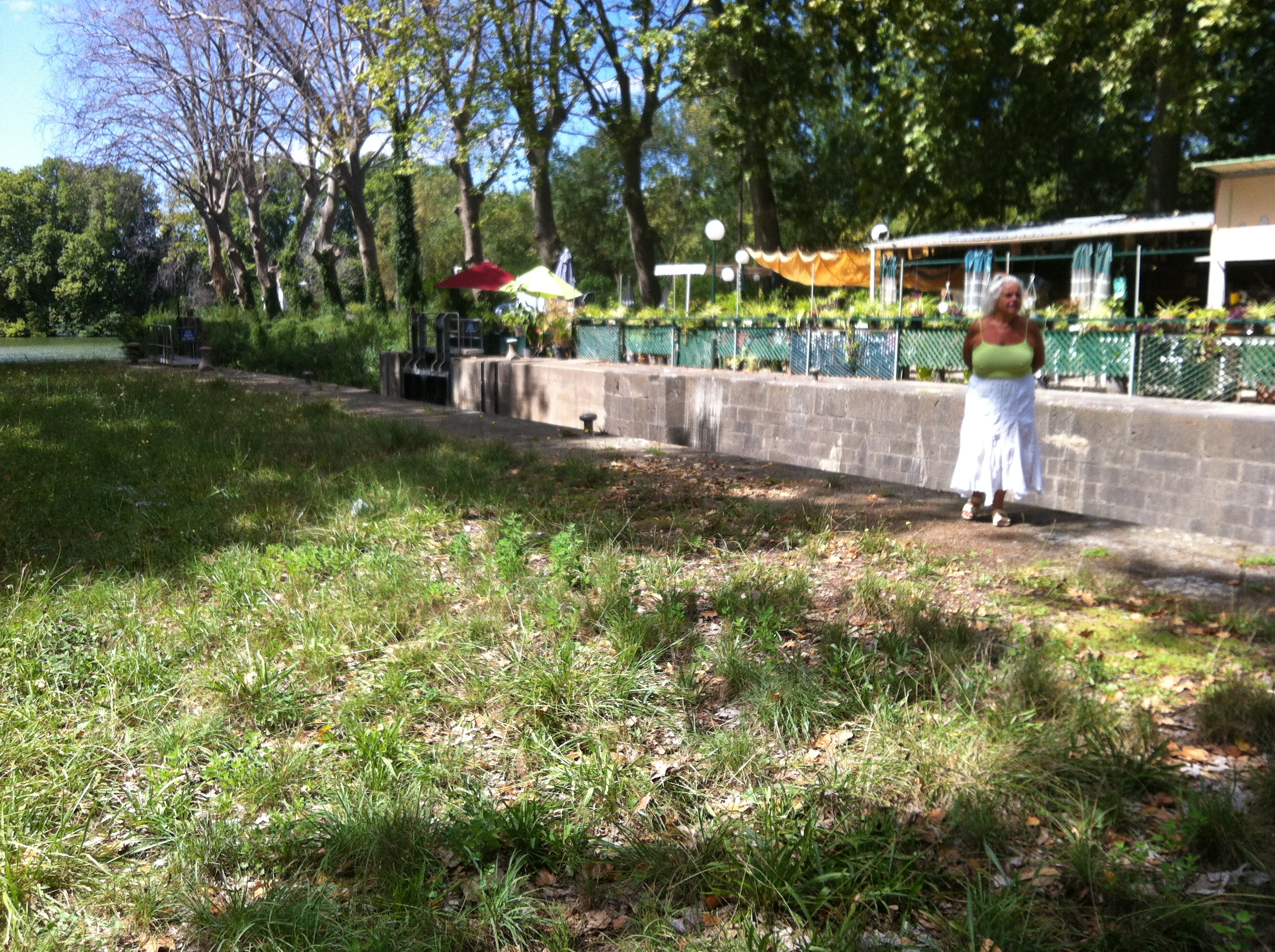 IMG_0083.JPG (2).JPG